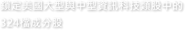 鎖定美國大型與中型資訊科技類股中的324檔成分股